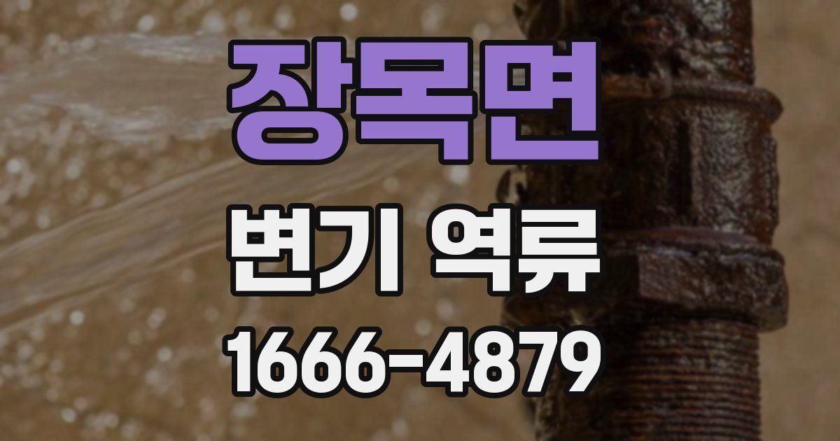 장목면 변기 역류