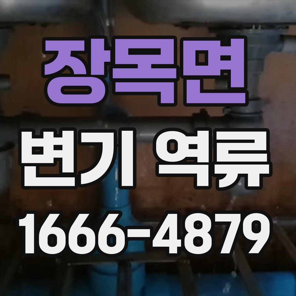 장목면 변기 역류