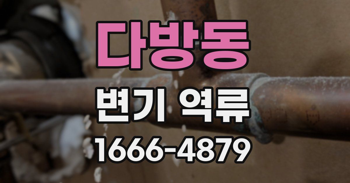다방동 변기 역류
