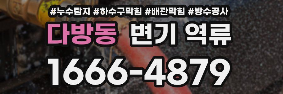 다방동 변기 역류