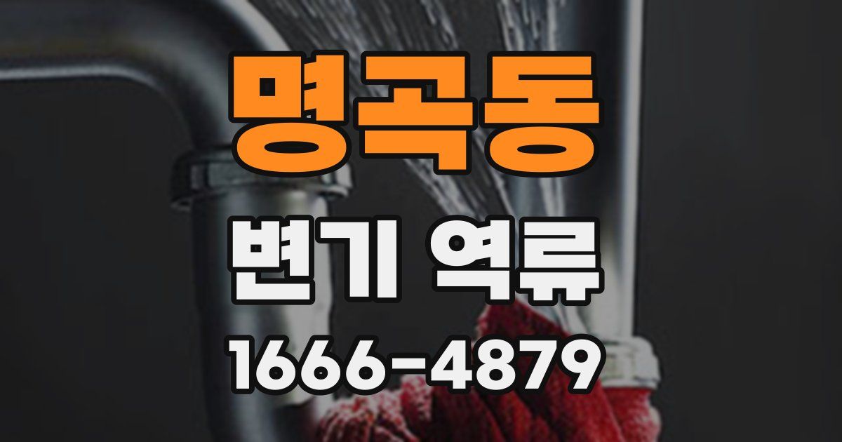 명곡동 변기 역류