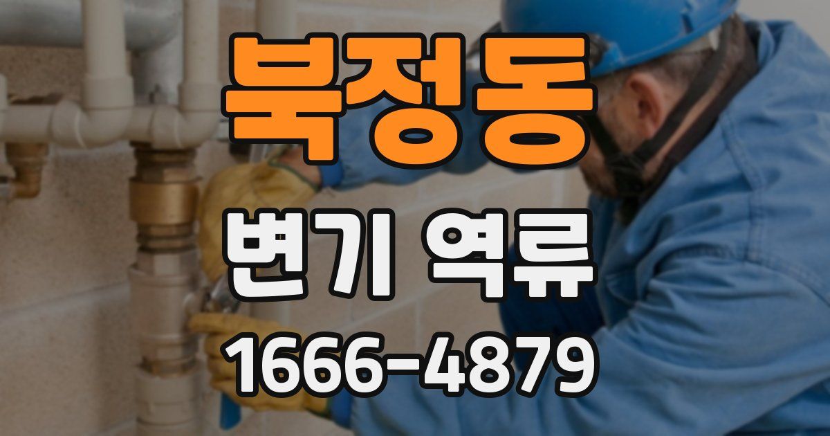 북정동 변기 역류