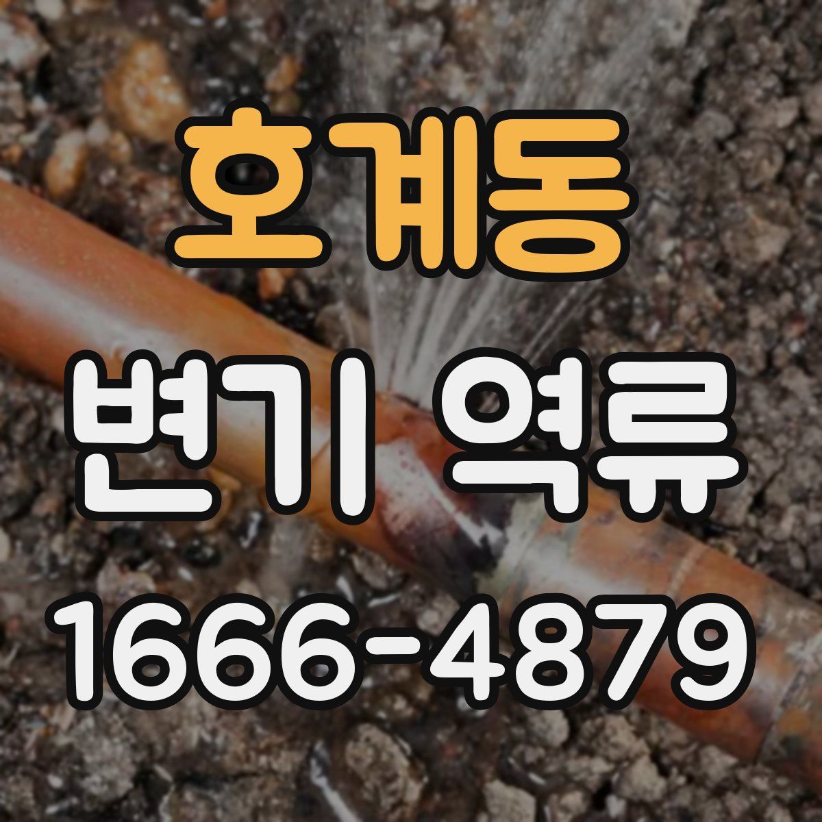 호계동 변기 역류