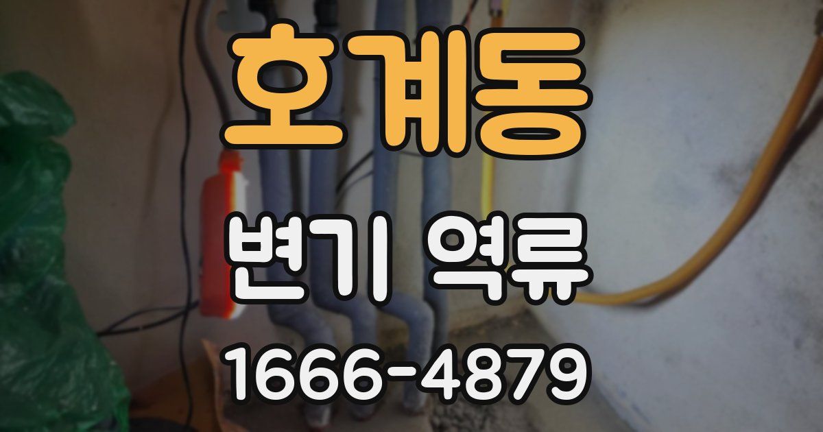 호계동 변기 역류