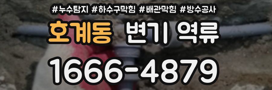 호계동 변기 역류