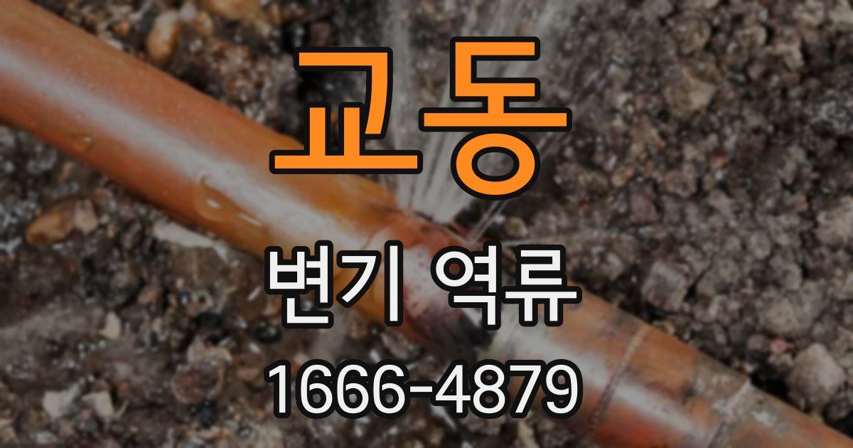교동 변기 역류