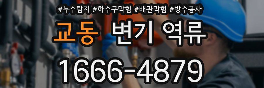 교동 변기 역류