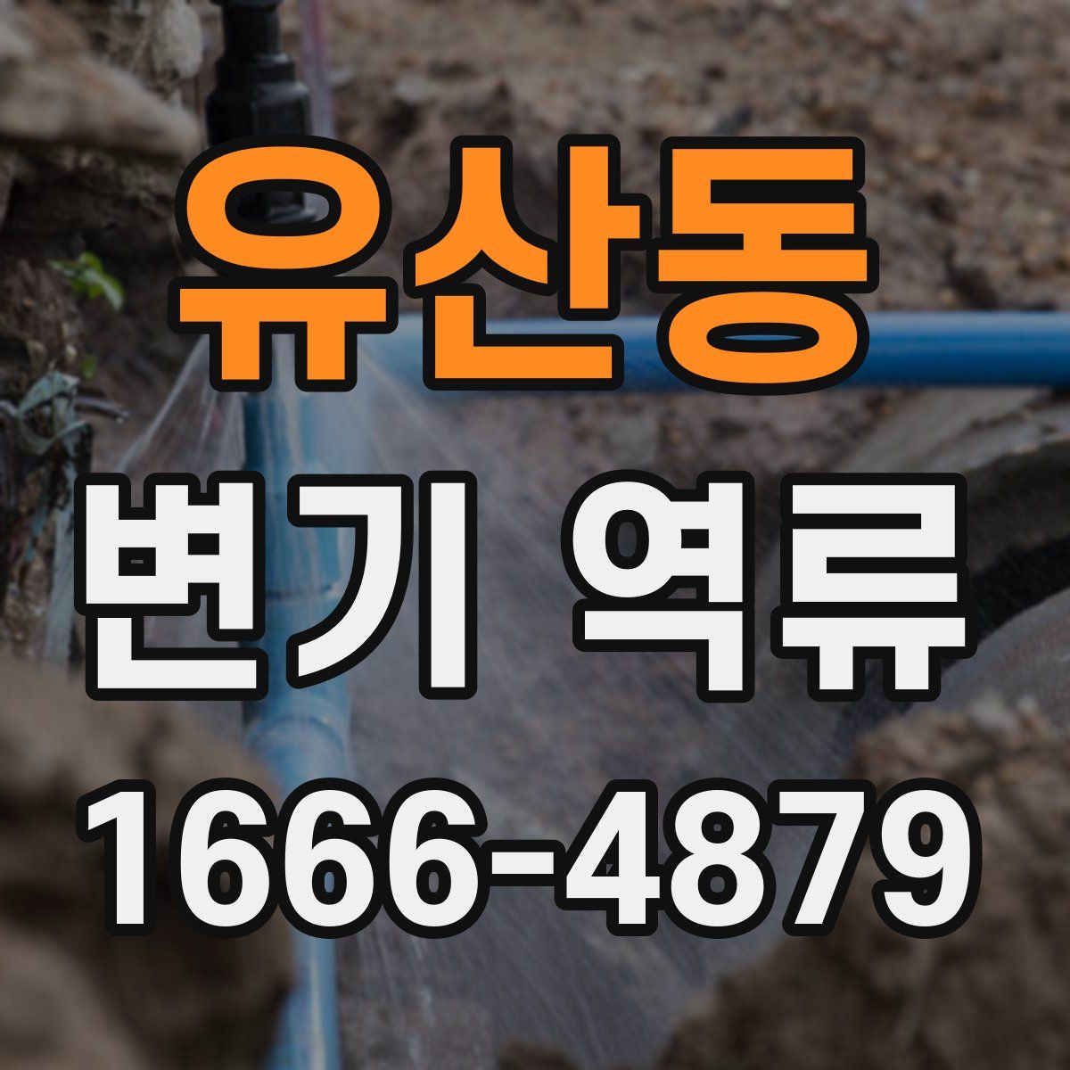 유산동 변기 역류