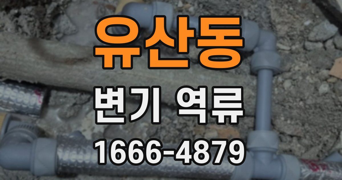 유산동 변기 역류