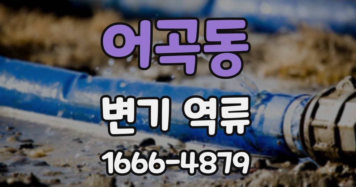어곡동 변기 역류