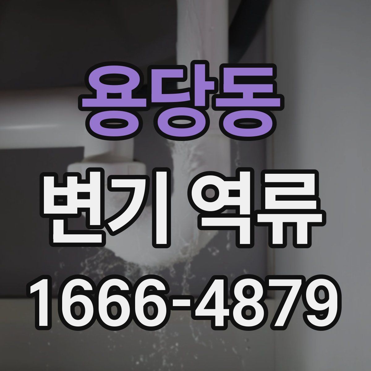 용당동 변기 역류 사용 중단이 필요한 위험 신호