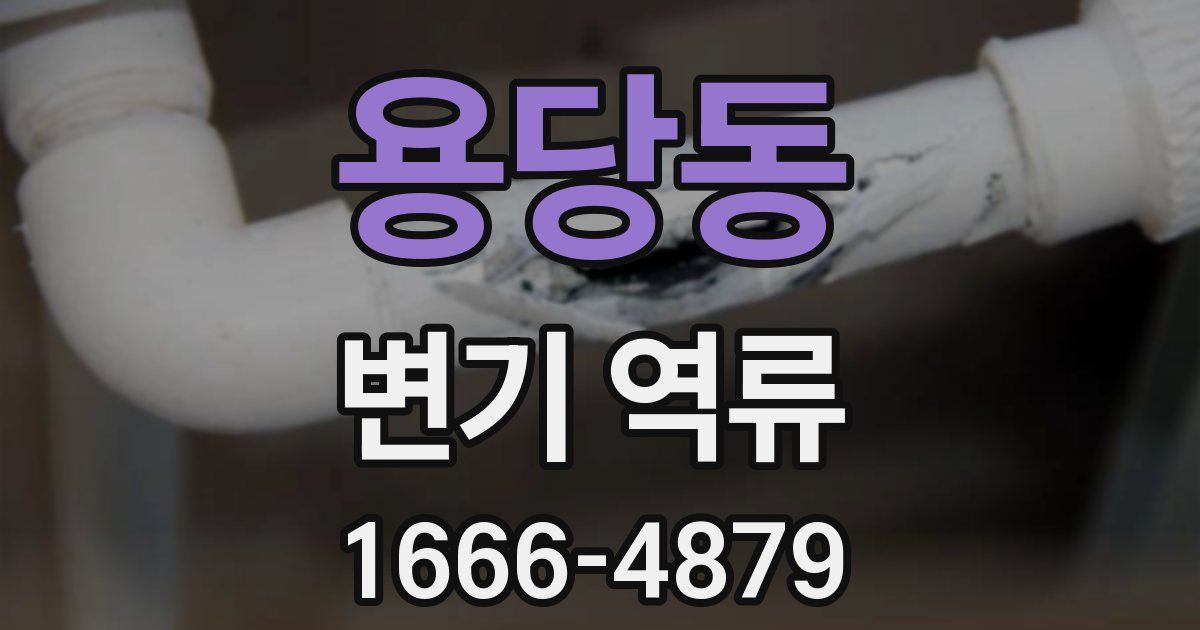 용당동 변기 역류
