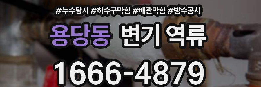 용당동 변기 역류