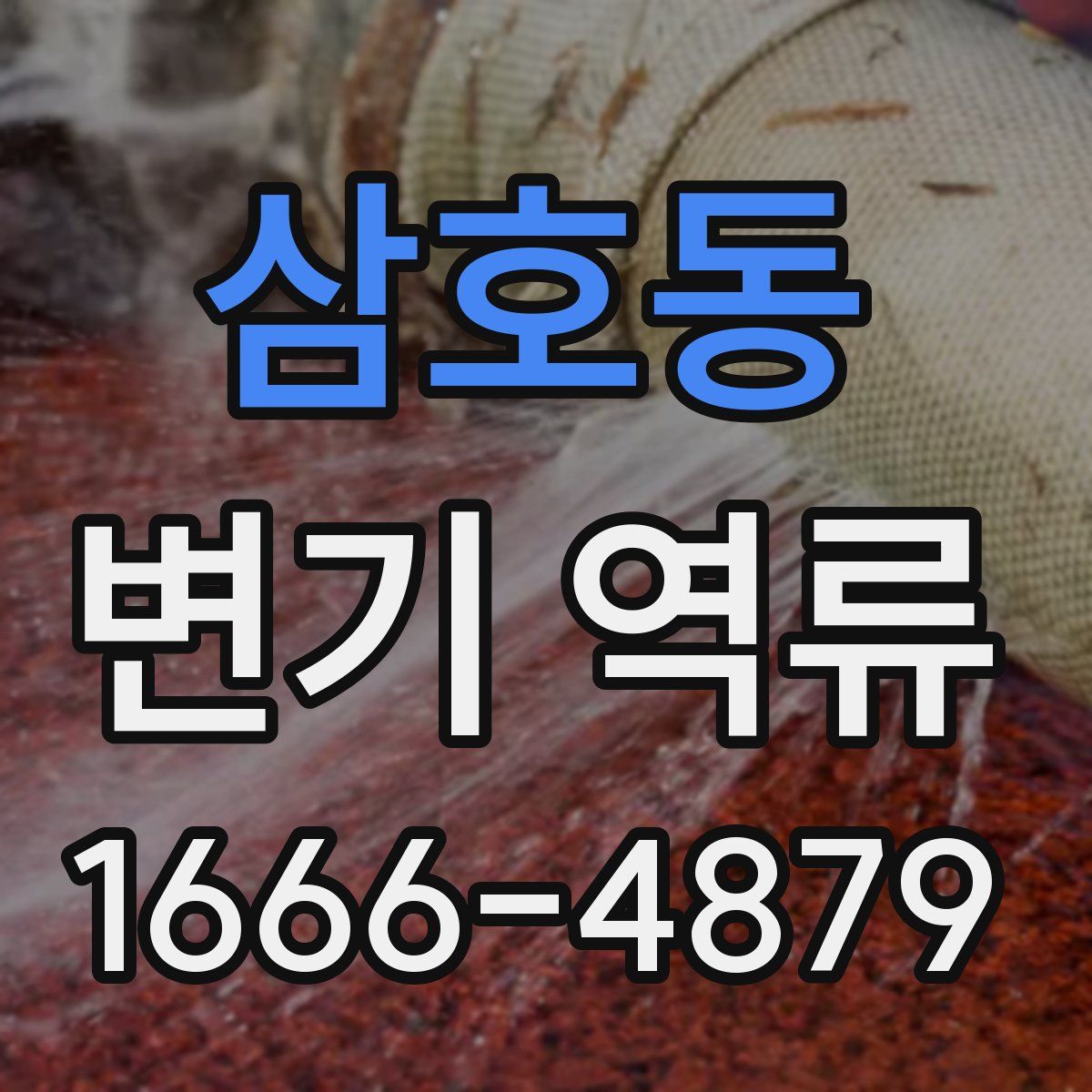 삼호동 변기 역류