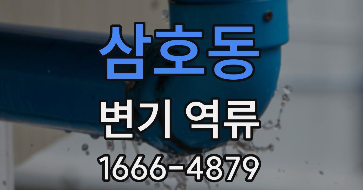 삼호동 변기 역류