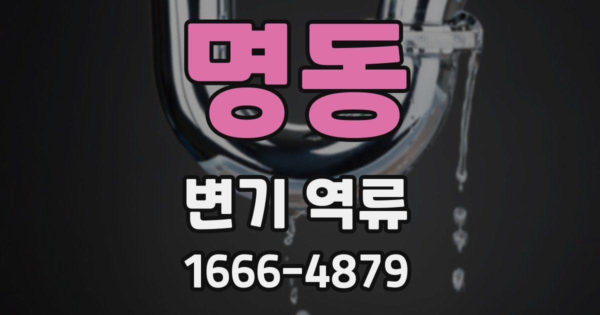 명동 변기 역류