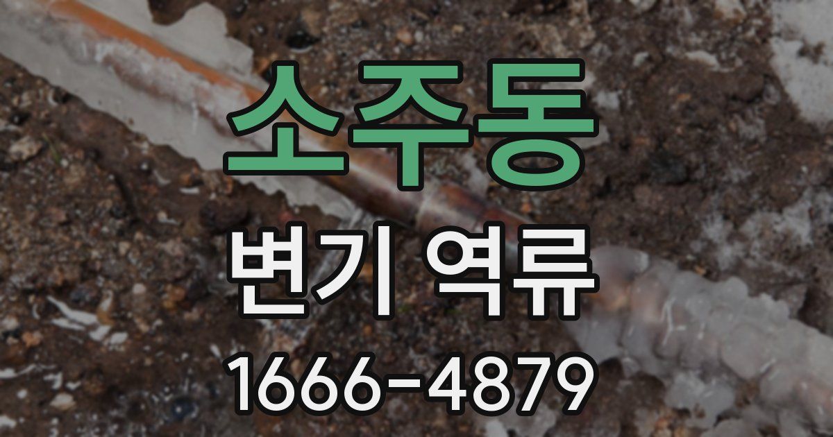 소주동 변기 역류