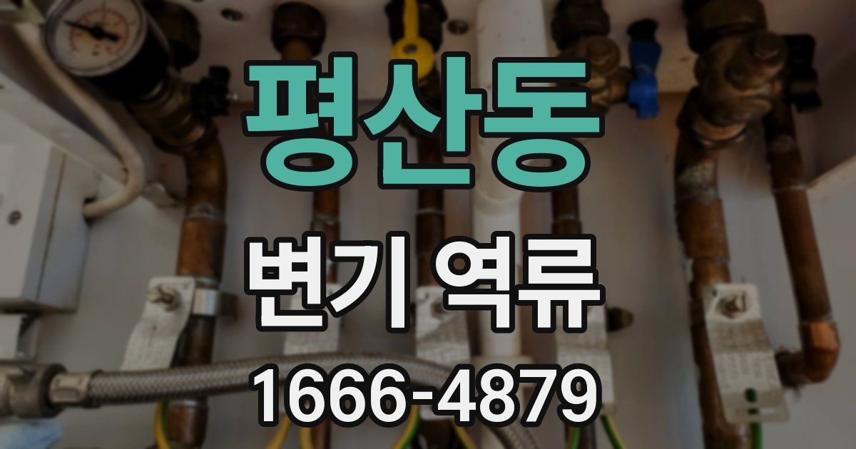 평산동 변기 역류
