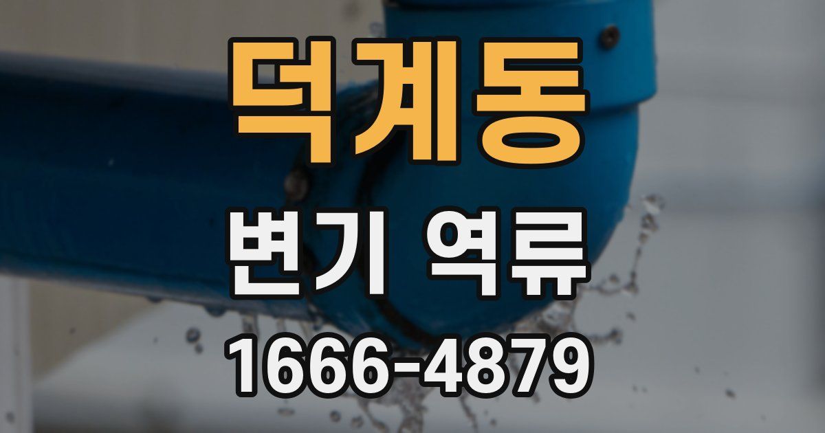 덕계동 변기 역류