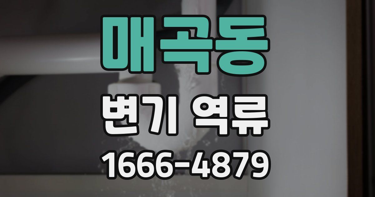 매곡동 변기 역류