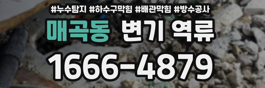 매곡동 변기 역류