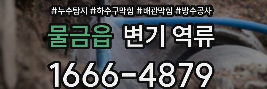 물금읍 변기 역류
