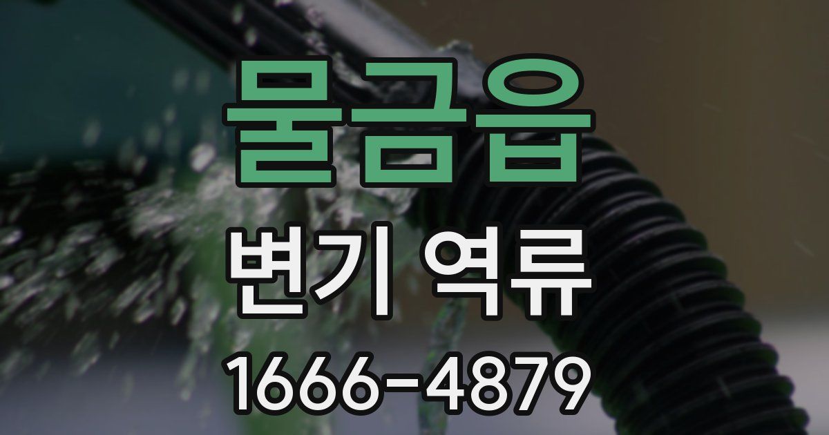 물금읍 변기 역류