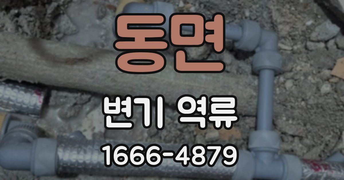 동면 변기 역류