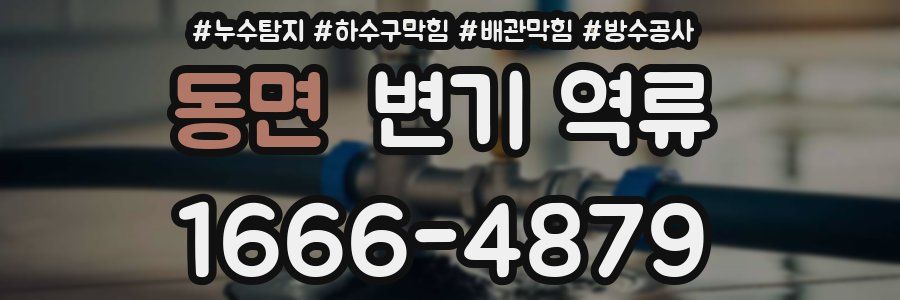 동면 변기 역류