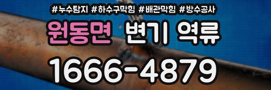 원동면 변기 역류