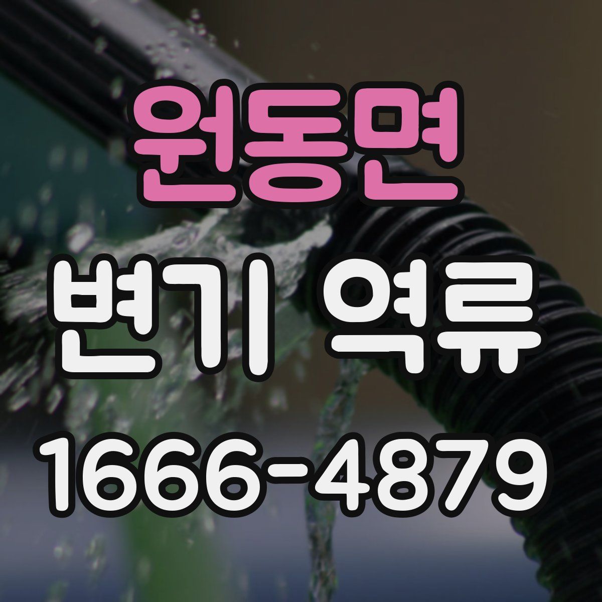 원동면 변기 역류