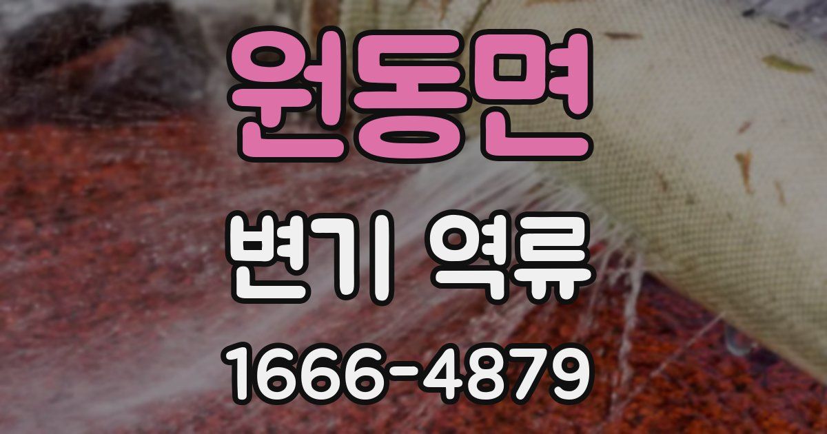 원동면 변기 역류