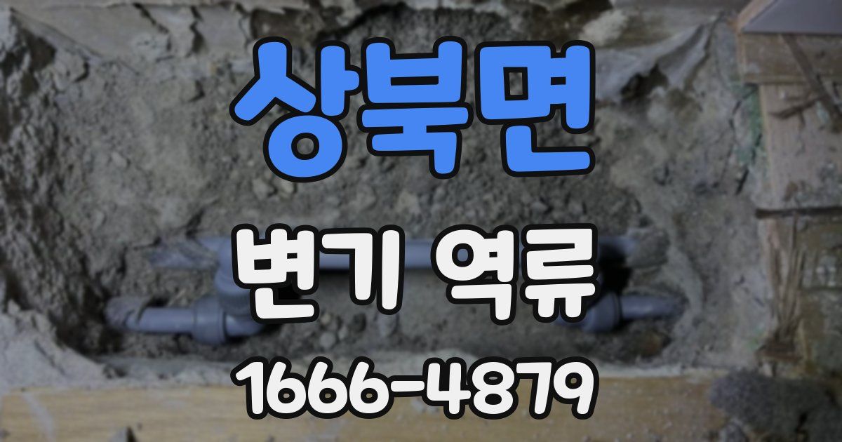 상북면 변기 역류