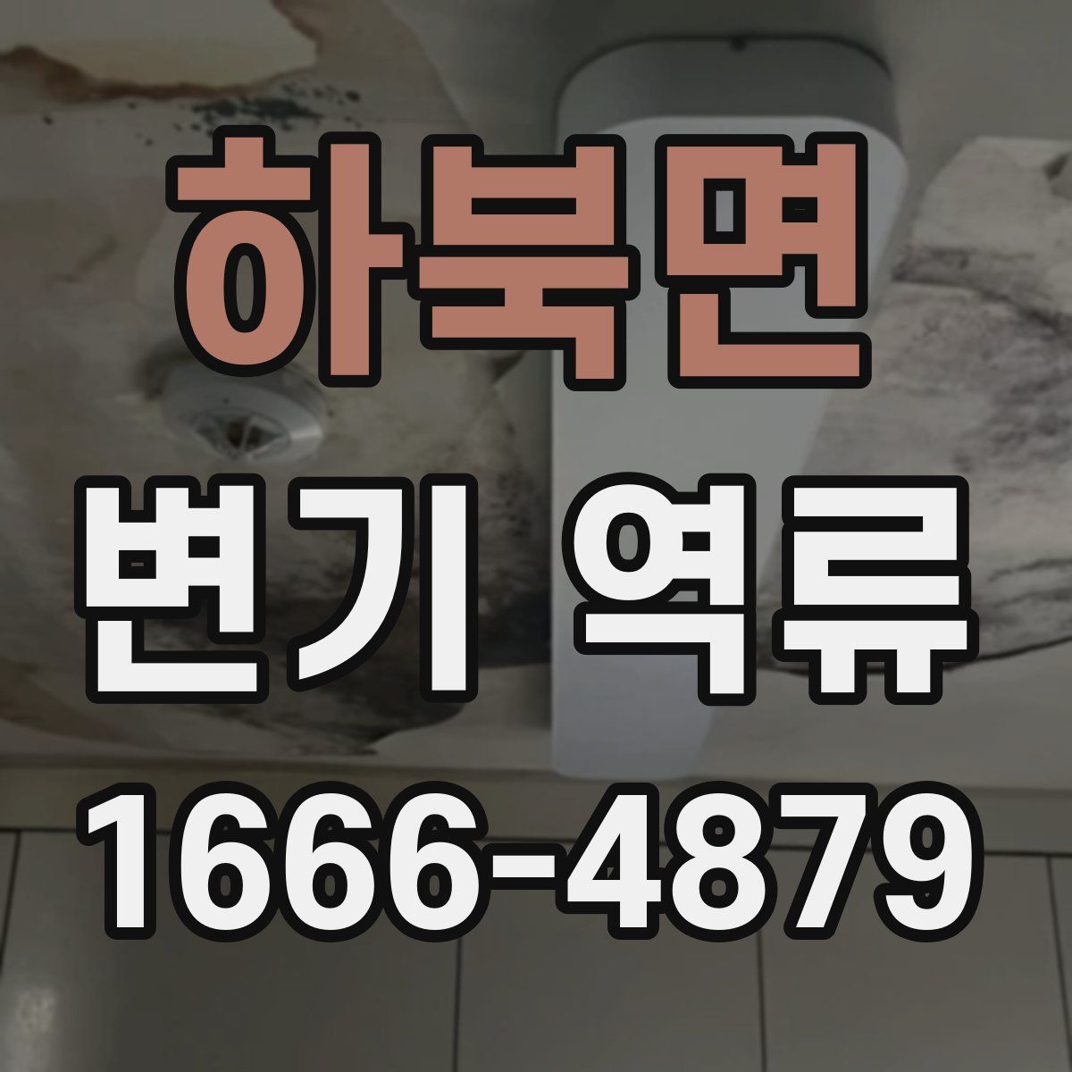 하북면 변기 역류