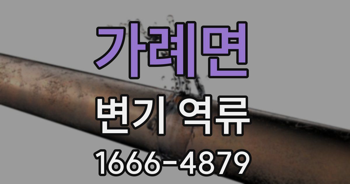 가례면 변기 역류