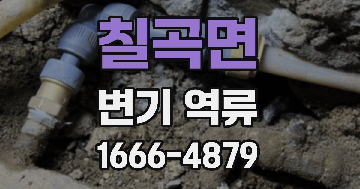 칠곡면 변기 역류