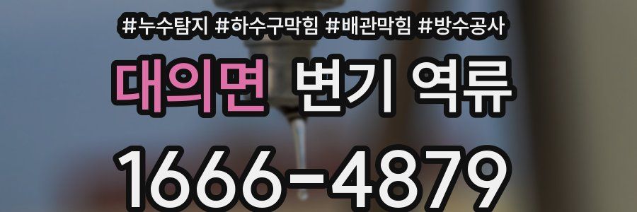 대의면 변기 역류