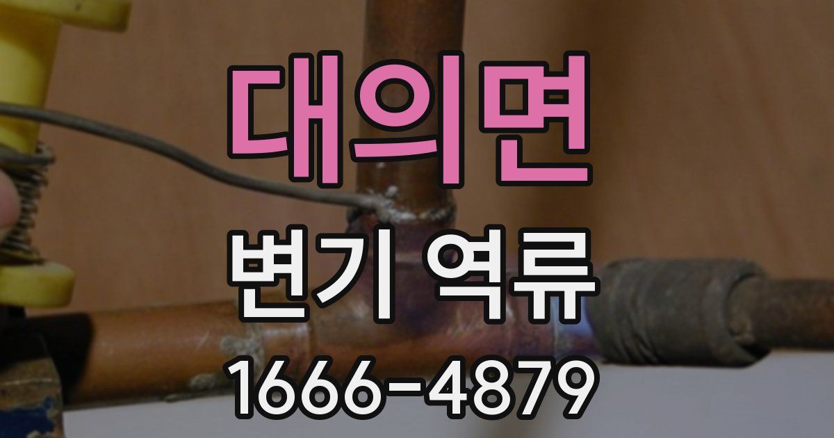대의면 변기 역류
