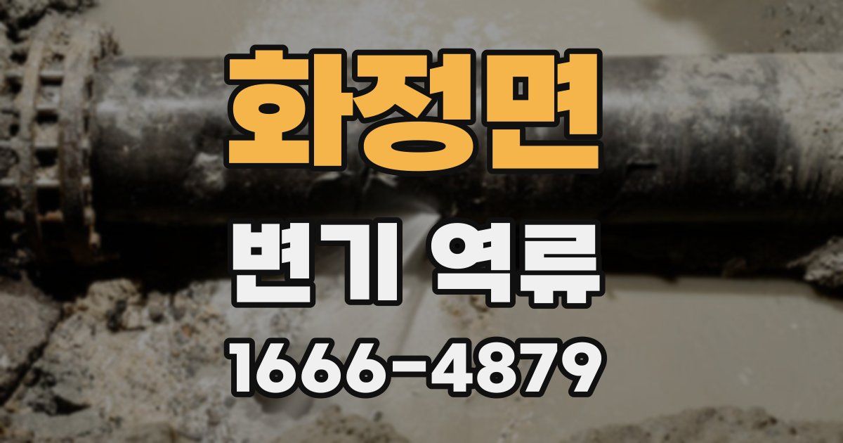 화정면 변기 역류