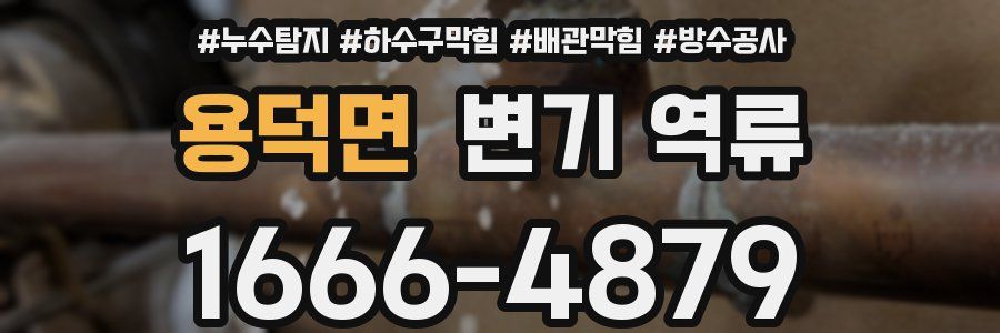 용덕면 변기 역류