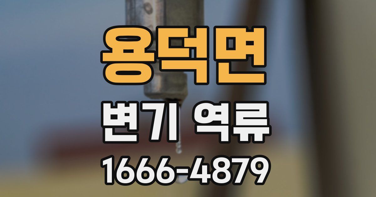 용덕면 변기 역류
