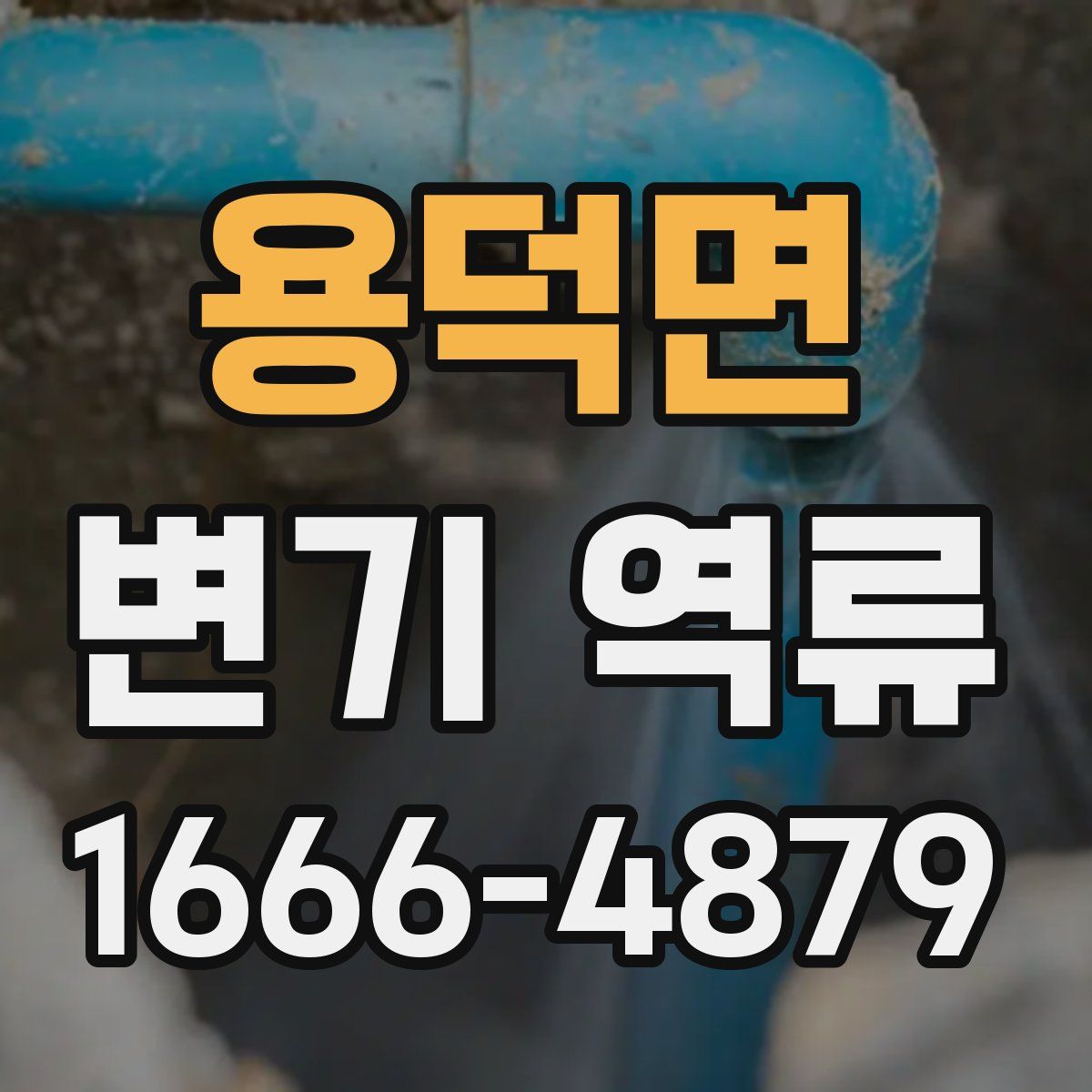 용덕면 변기 역류