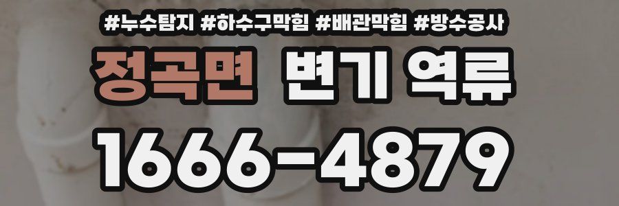 정곡면 변기 역류