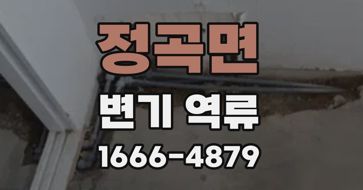정곡면 변기 역류