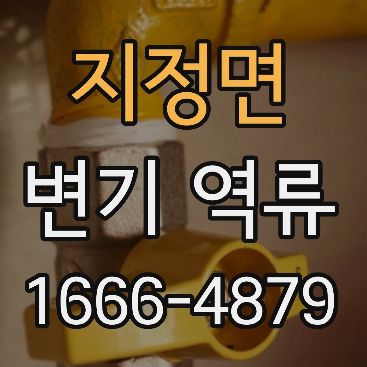 지정면 변기 역류 물이 멈췄다 다시 올라오는 현상
