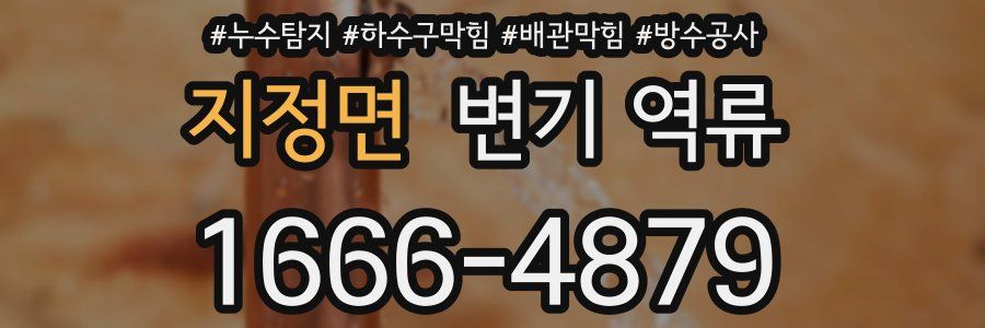 지정면 변기 역류