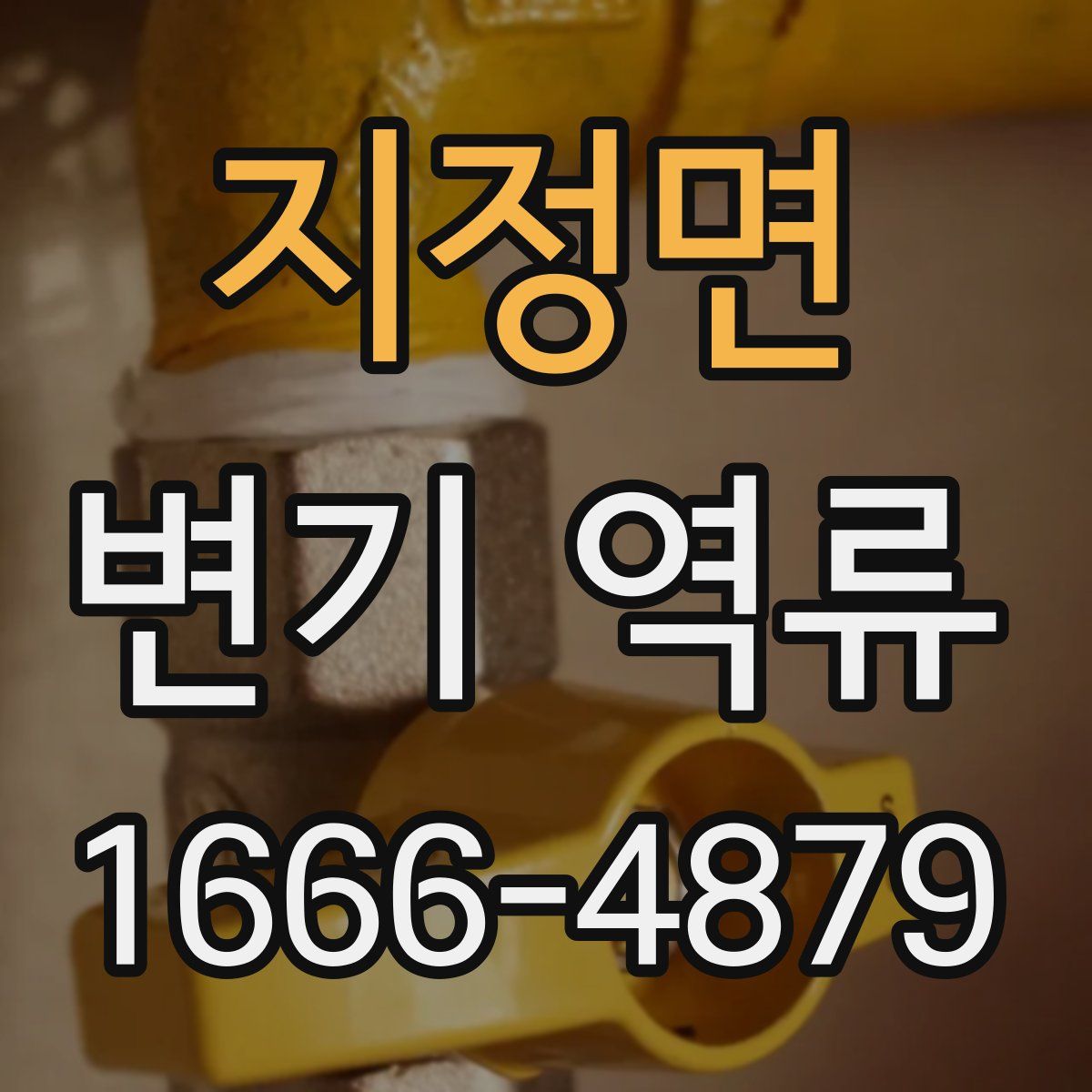 지정면 변기 역류