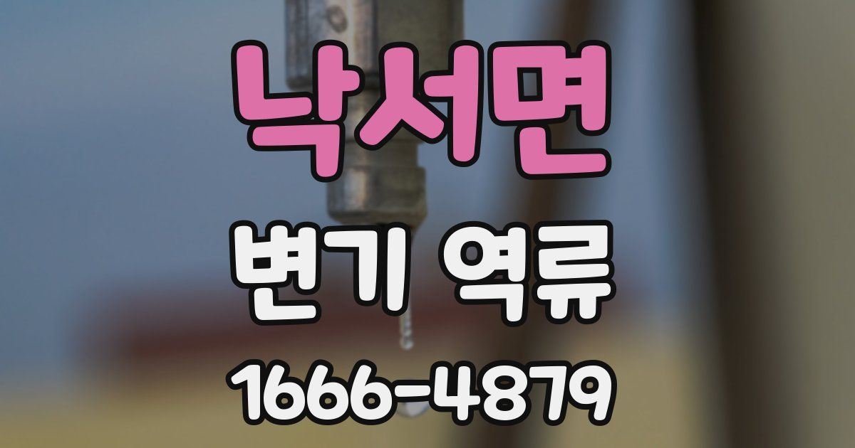 낙서면 변기 역류