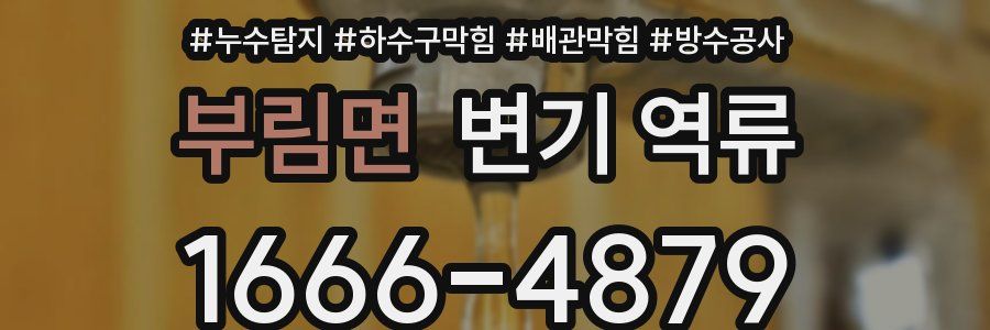 부림면 변기 역류