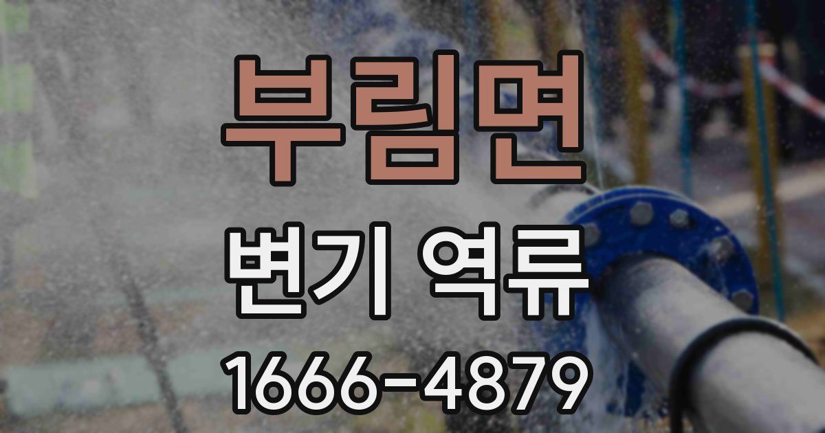 부림면 변기 역류